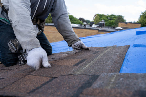 Best Roof Gutter Cleaning  in Utica, OH